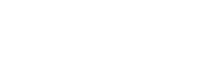 Barzani Group - Flat Logo (Transparent Background)