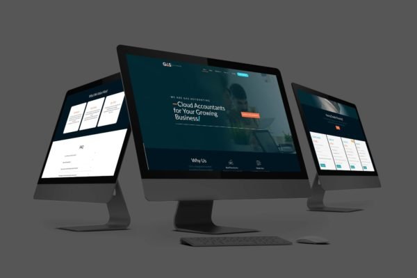 GAS Accounting - Enhanced Website 19