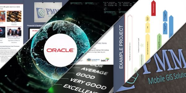 PMM - Website, Niche Profiles and Videos 5