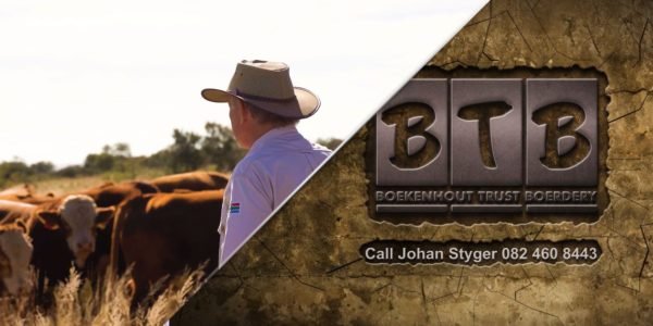 BTB Simmentaler - Social Posts and Videos 13