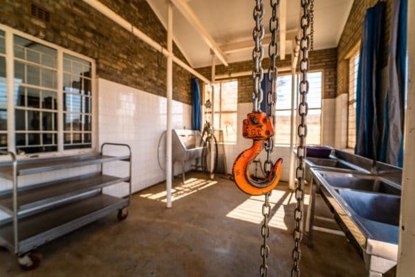 Inyathi Game Ranch (118)