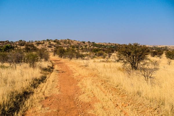 Inyathi Game Ranch (2)