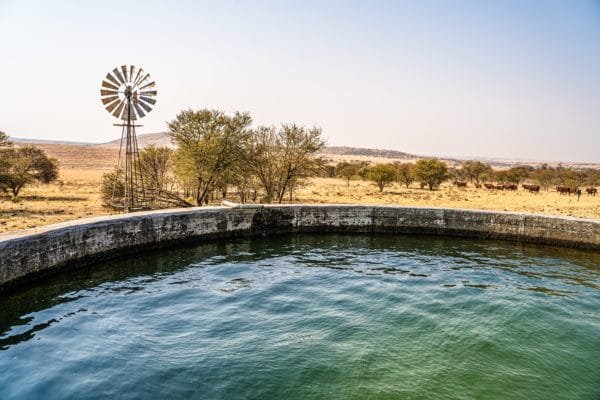 Inyathi Game Ranch (29)