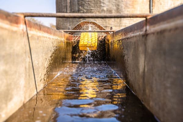 Inyathi Game Ranch (34)