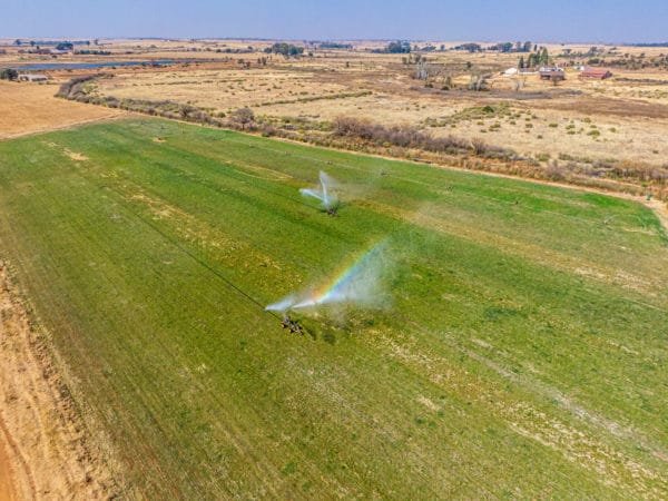 Inyathi Game Ranch (88)