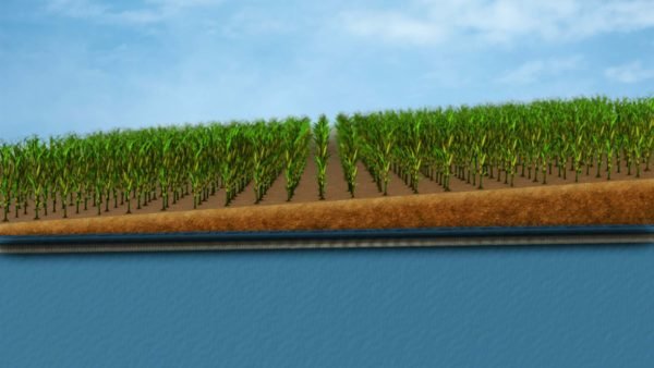 STILLS Incline no Gates0