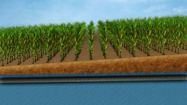 STILLS Incline no Gates1