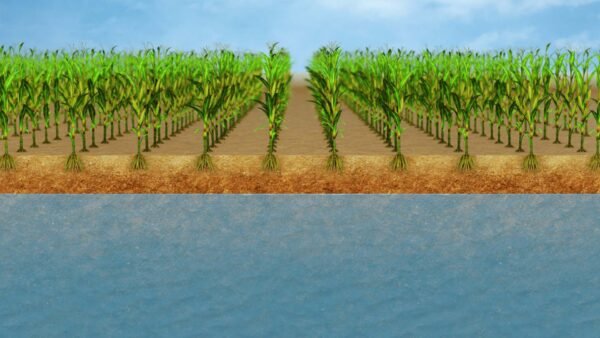 STILLS - Water Table Management0