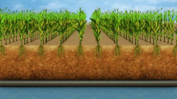STILLS - Water Table Management1
