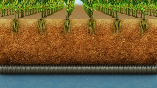 STILLS - Water Table Management3