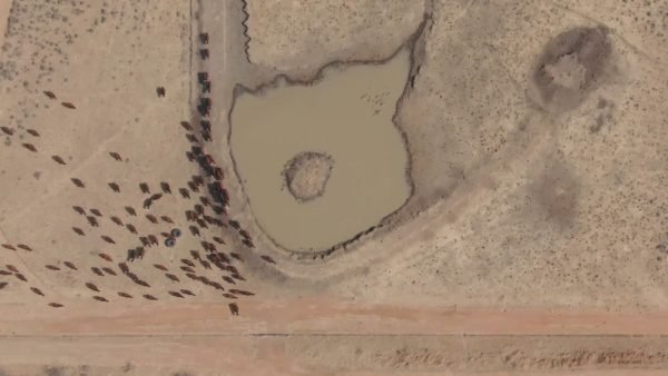 946HA Farm for Sale - Promotional Video (Discover What We Have to Offer) 19