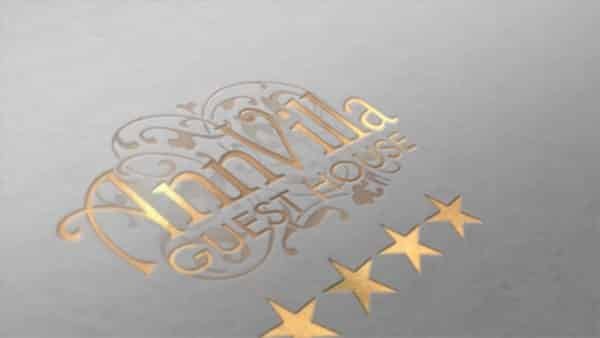 AnnVilla - Video Logo 5