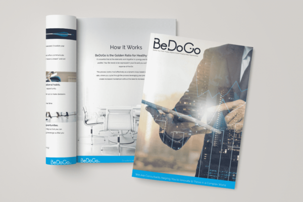 BeDoGo - Company Profile 3