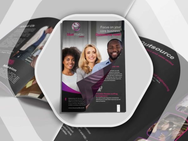 Blue Marble (Projects Division) - Niche Profile 1