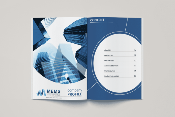 MEMS - Company Profile 13