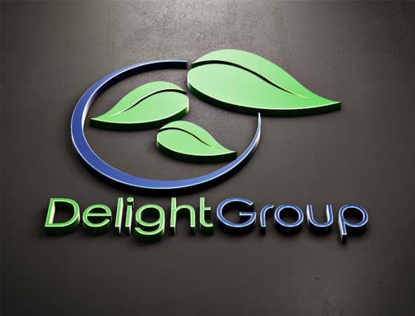 Delight Group - Logo Design 17
