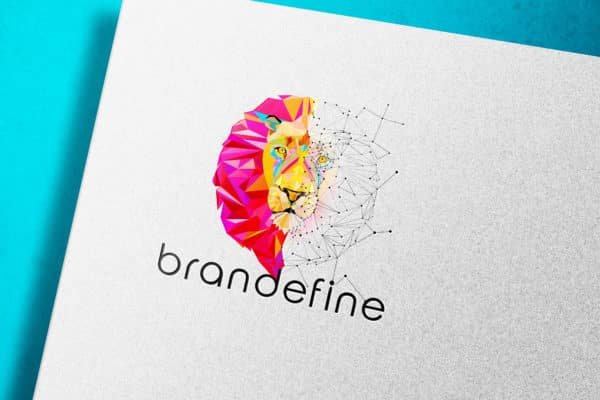 Brandefine - Logo Design 5