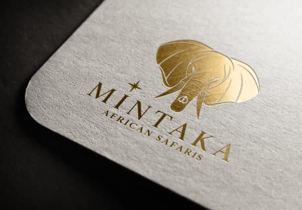 Mintaka Safaris - Logo Design 13