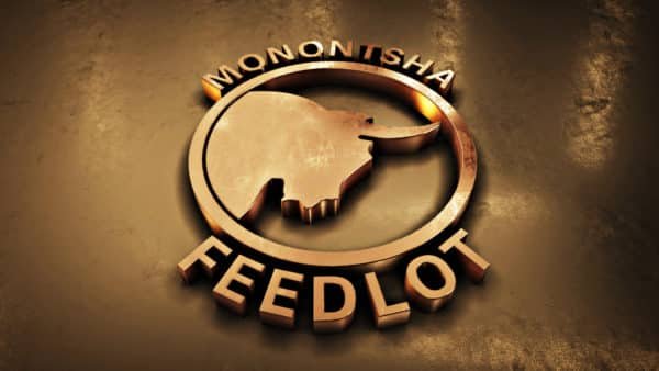 Monontsha Feedlot - Logo Design 19