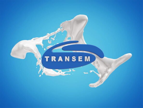 Transem - 3D Logo 3