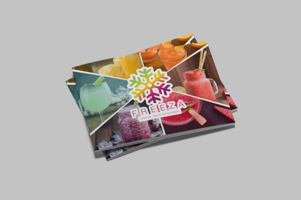 Freeza Vita - Brochure 1