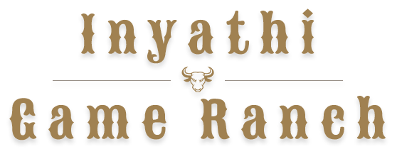 Inyathi Game Ranch 5