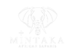 Mintaka White logo- Original