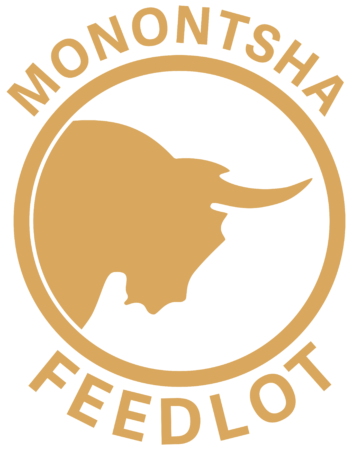 Monontsha Feedlot 15