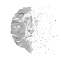 brandfine white logo