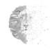 brandfine white logo