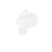 Petricor Logo light