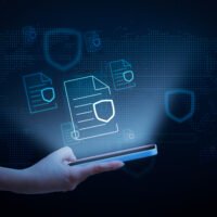 Junior WordPress Developer 5