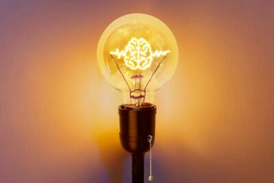 A lightbulb with a brain in it as a metaphor for thought leadership