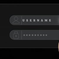 Junior WordPress Developer 7